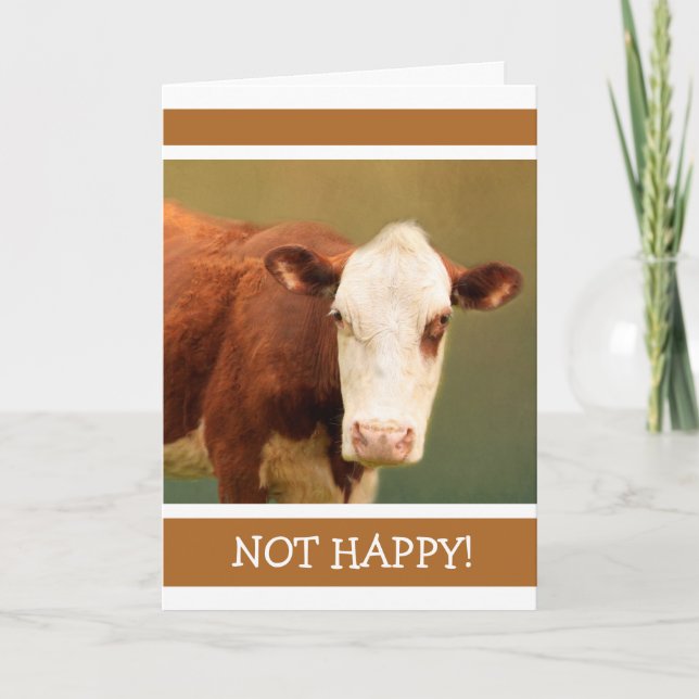 Olycklig Cow kommer bra Kort (Framsida)