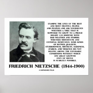 Olycksfall gynnsam för Villkor tillväxt Nietzsche Poster