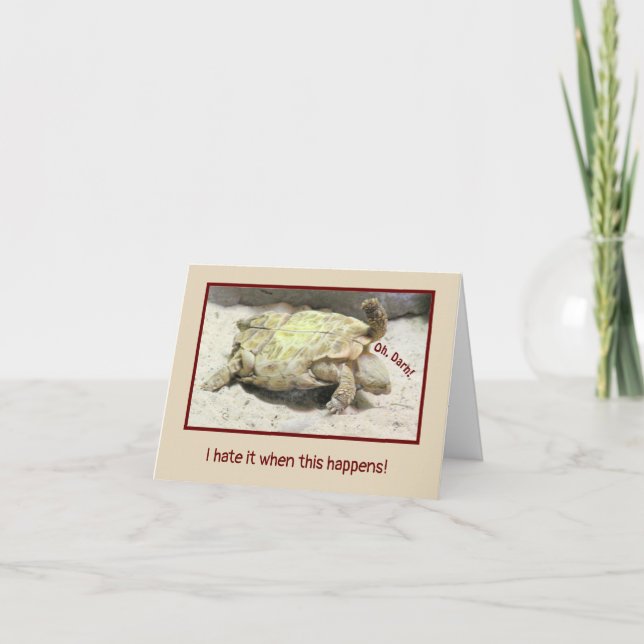 OLYCKSFLIPPAT HIUMOR/TURTLE PÅ BAKGRUNDEN KORT (Framsida)