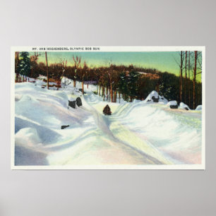 Olympic Bobsled Springa View på Mt. Van Hoevenberg Poster