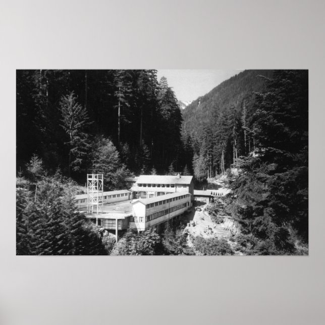 Olympic Hett Vår, WA Lodge View-foto #2 Poster (Framsidan)