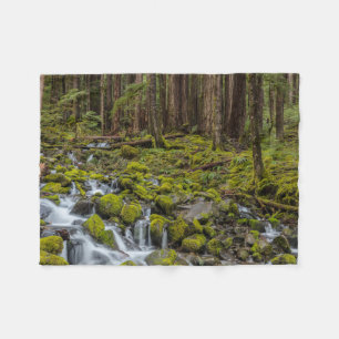 Olympic National Park, delstaten Washington Fleecefilt