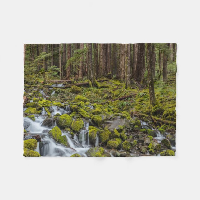 Olympic National Park, delstaten Washington Fleecefilt (Framsidan (Horisontell))
