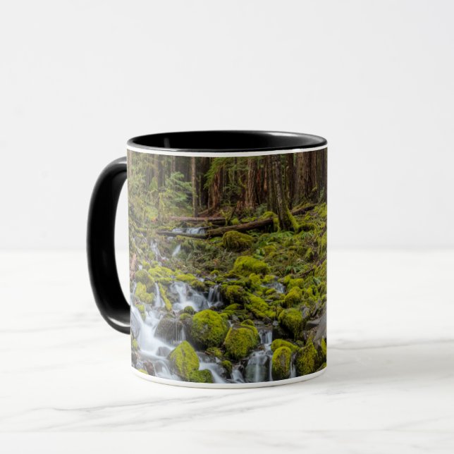 Olympic National Park, delstaten Washington Mugg (Framsida vänster)