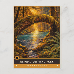 Olympic National Park Gammal vykort