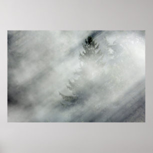 Olympic National Park Hoh River Valley Poster