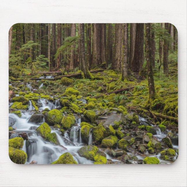 Olympic National Park, Washington Musmatta (Framsidan)
