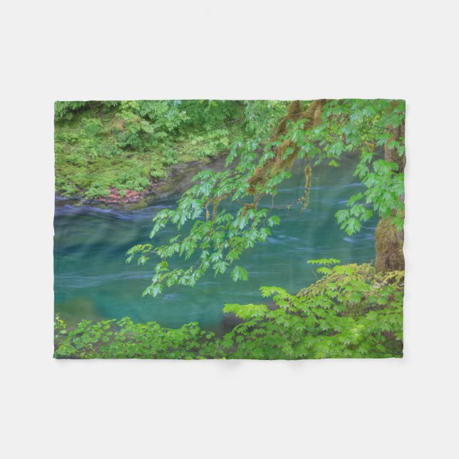 Olympic National Park Washington State Fleecefilt (Framsidan (Horisontell))