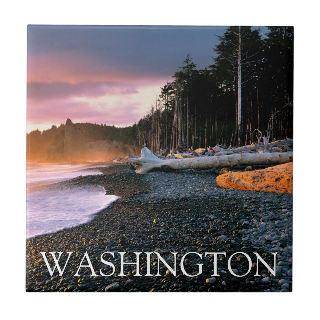 Olympic National Park | Washington State Kakelplatta (Framsidan)