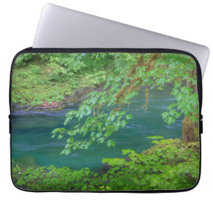 Olympic National Park Washington State Laptop Fodral