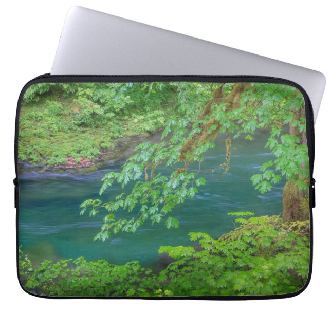 Olympic National Park Washington State Laptop Fodral (Framsidan)