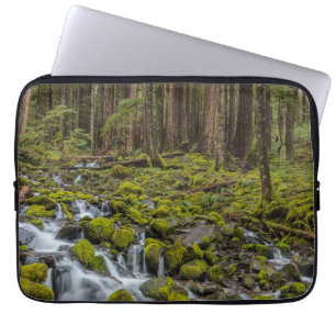 Olympic National Park, Washington State Laptop Fodral