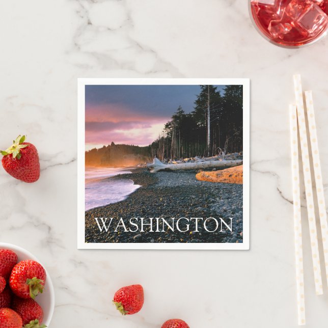 Olympic National Park | Washington State Pappersservett (Insitu)