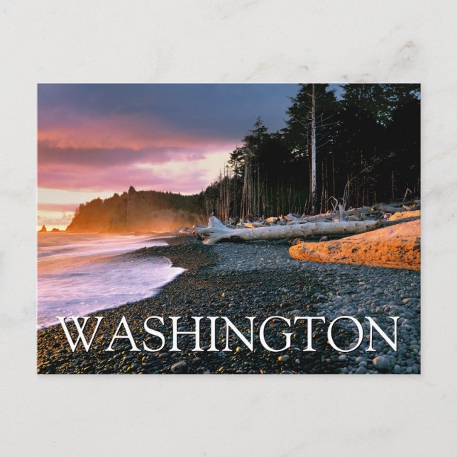 Olympic National Park | Washington State Tack Vykort (Framsida)
