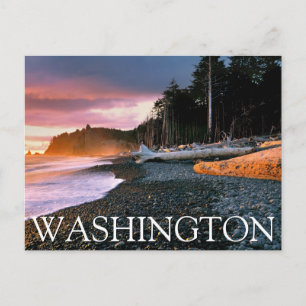 Olympic National Park Washington State Vykort