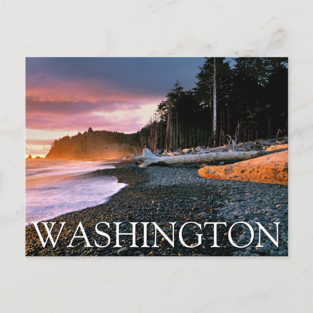 Olympic National Park | Washington State Vykort (Framsida)