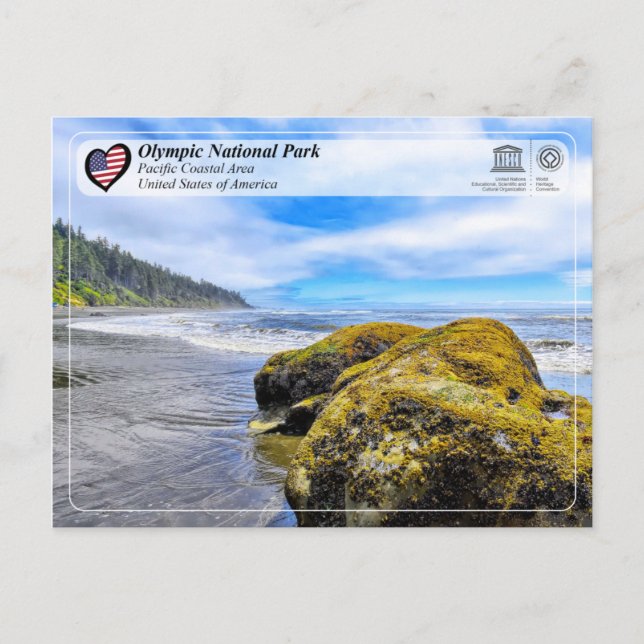 Olympic nationalpark - Stillahavskustens område Vykort (Framsida)