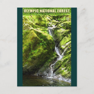 OLYMPIC NAT'L FOREST-Waterfall Vykort