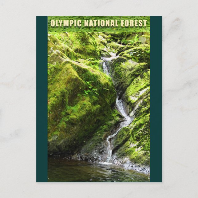 OLYMPIC NAT'L FOREST-Waterfall Vykort (Framsida)