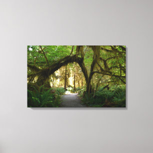 Olympisk peninsula Washington för Hoh Rainforest Canvastryck