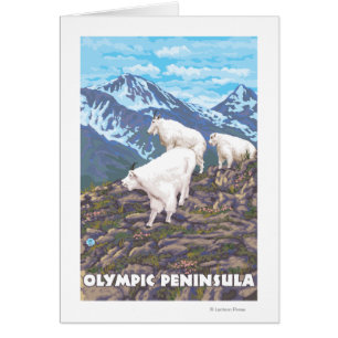Olympisk peninsula, WashingtonMountain getter Hälsningskort