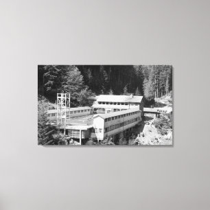 Olympiska Hot Springs, WA-loge beskådar Canvastryck
