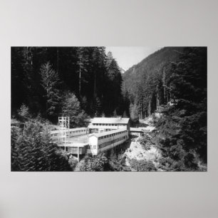 Olympiska Hot Springs, WA-loge beskådar Poster