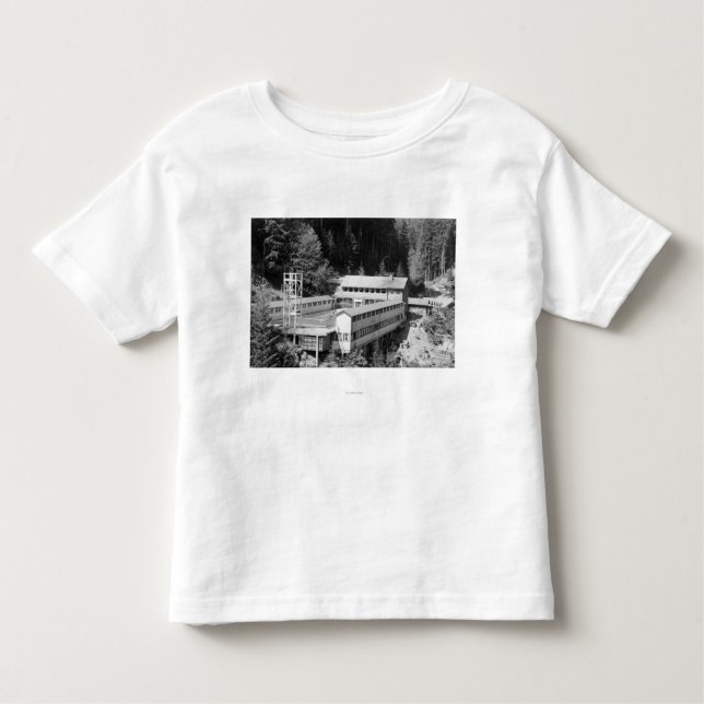 Olympiska Hot Springs, WA-loge beskådar Tee Shirt (Framsida)