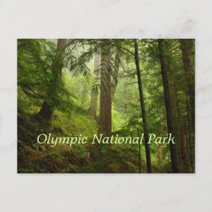 Olympiska nationalparken Rainforest Vykort