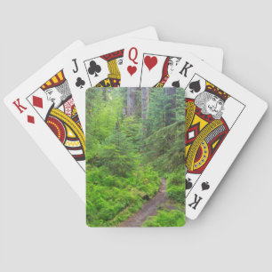 Olympiska nationalparken, skogsspår casinokort