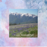 Olympiska nationalparksbergen och Meadows Kakelplatta<br><div class="desc">Keramiskt plattor med en bild av landskapet på de olympiska bergen med tak över snö och ängsblommor i nationalparken Olympic National Park i Washington. Markera din ruta storlek. Gör en underbar resande souvenir-trivet!</div>