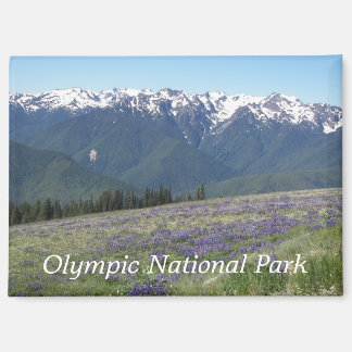 Olympiska nationalparksbergen och Meadows Magnet