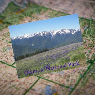 Olympiska nationalparksbergen och Meadows Vykort