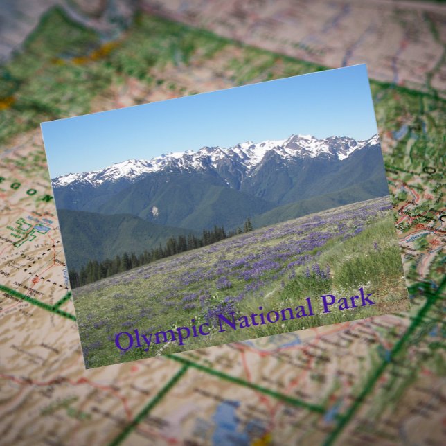 Olympiska nationalparksbergen och Meadows Vykort (In Situ Map)