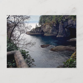Olympiska Peninsulan Cape Flattery - Washington Vykort