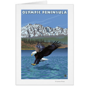 Olympiska Peninsulan, WashingtonFishing Eagle Hälsningskort