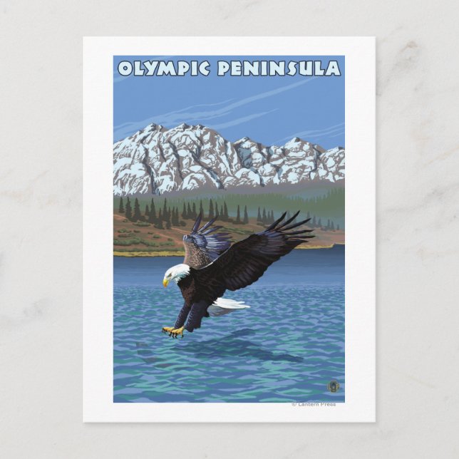 Olympiska Peninsulan, WashingtonFishing Eagle Vykort (Framsida)