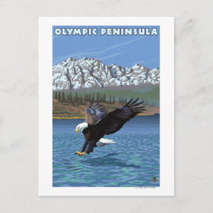 Olympiska Peninsulan, WashingtonFishing Eagle Vykort