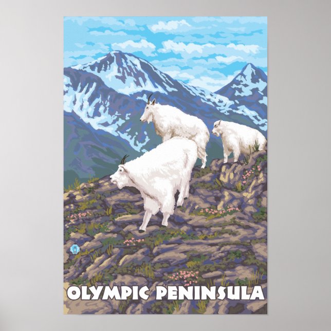 Olympiska Peninsulan, WashingtonMountain Goats Poster (Framsidan)