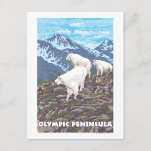 Olympiska Peninsulan, WashingtonMountain Goats Vykort