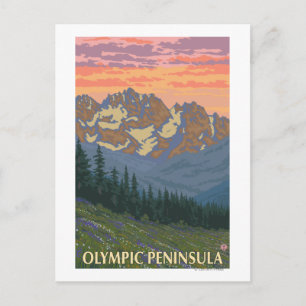 Olympiska Peninsulan, WashingtonSpring Flowers Vykort