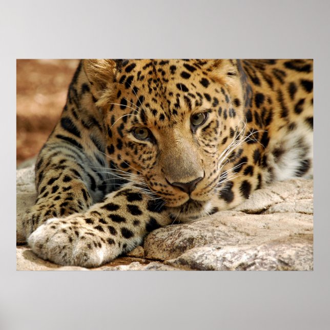 Om bara.. jag kunde räddas poster (Framsidan)