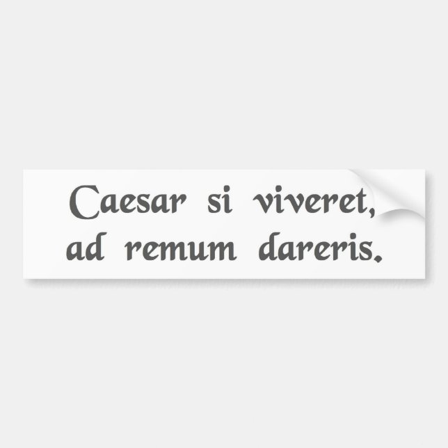 Om Caesar levde, skulle du vara fjättrad vid en år Bildekal (Framsidan)
