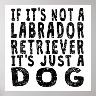 Om det inte är en Labrador Retriever Poster