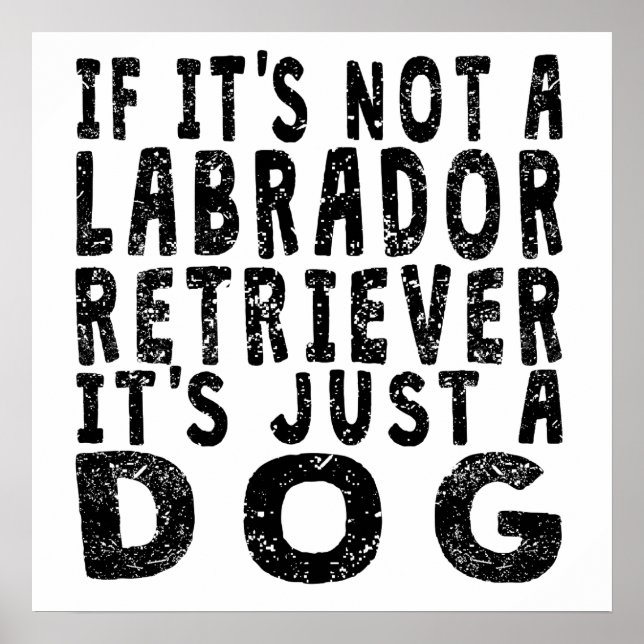 Om det inte är en Labrador Retriever Poster (Framsidan)