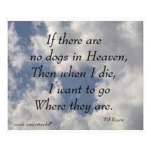 OM DET INTE FINNS NÅGRA HUNDAR-KOMLIGA ROGERS POST