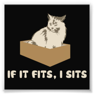 Om det passformar, I sitter katten Fototryck