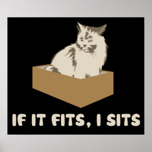 Om det passformar, I sitter katten Poster