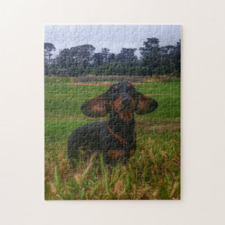 Om du bygger det, ska de kom pussel