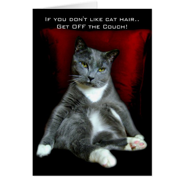 Om du inte gillar katthår.. Bort från soffan! Hälsningskort (Framsidan)